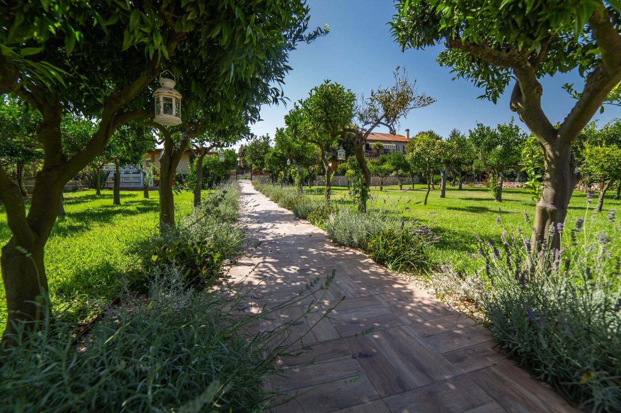 I Lecci Guesthouse San Felice Circeo Bagian luar foto